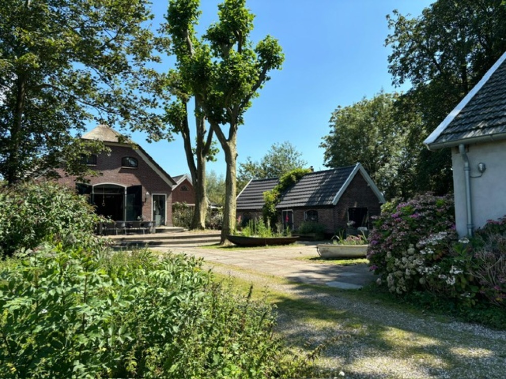 Foto 61 1000w
