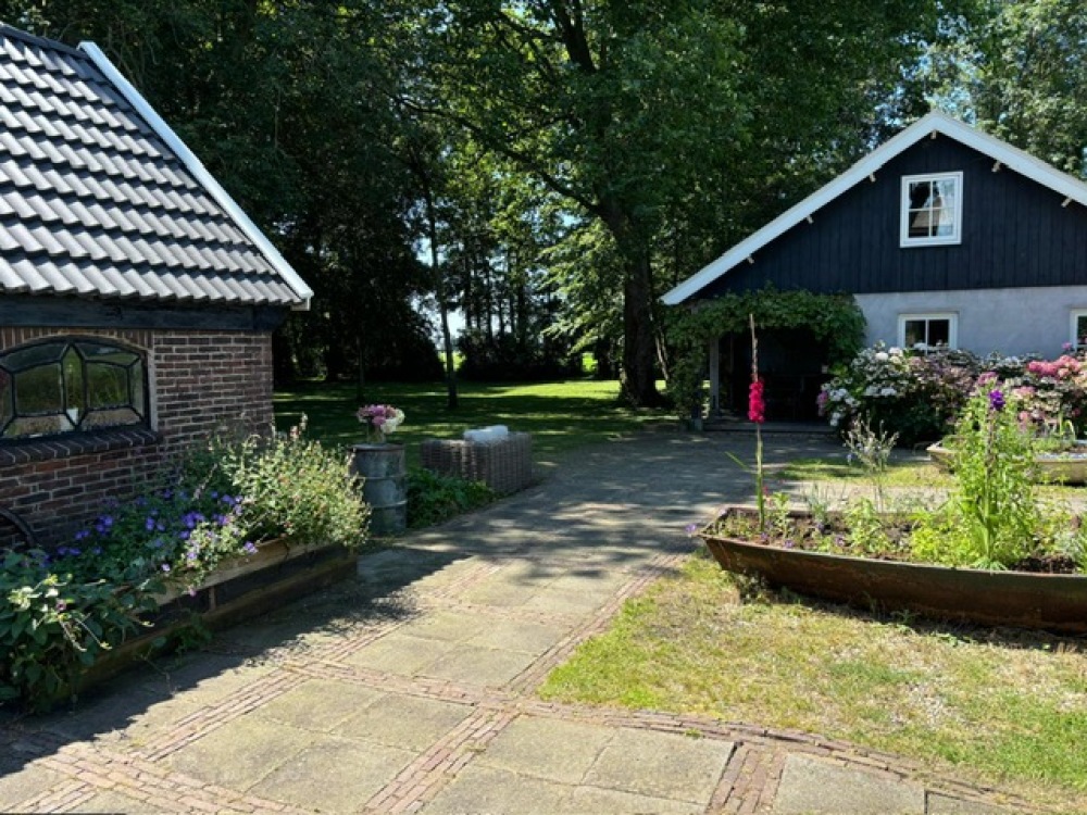 Foto 62 1000w