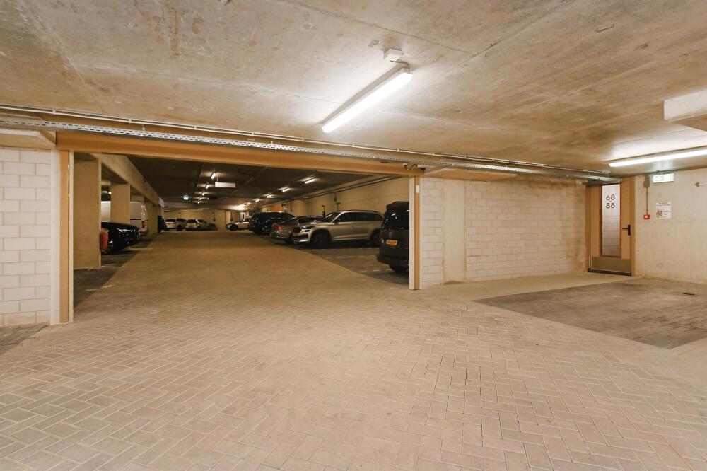 Foto 46 1000w