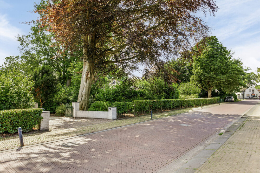 Foto 68 1000w
