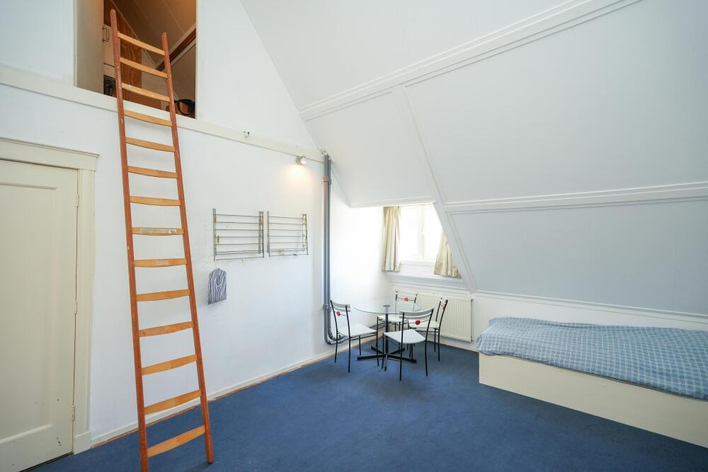 Foto 35 1000w