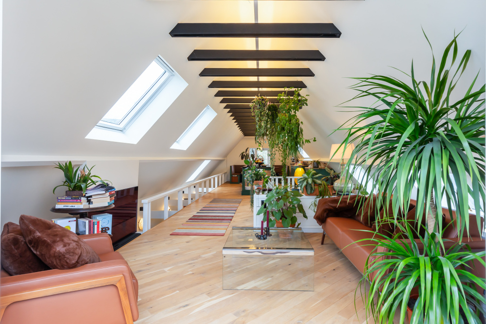 Foto 42 1000w