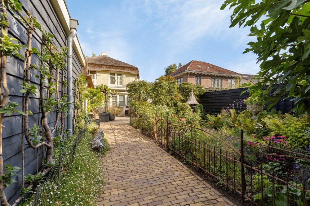 Foto 11 1000w