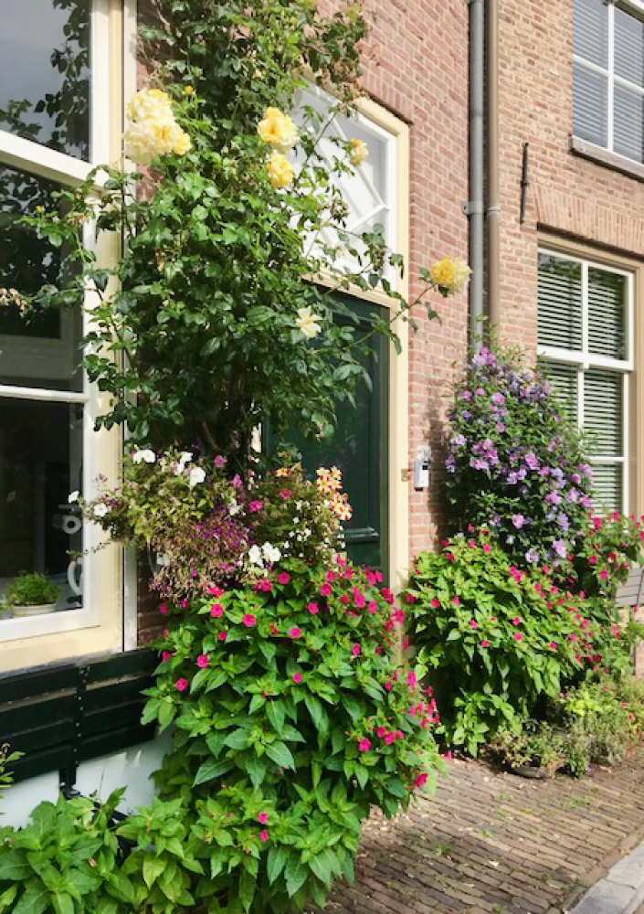 Foto 43 1000w