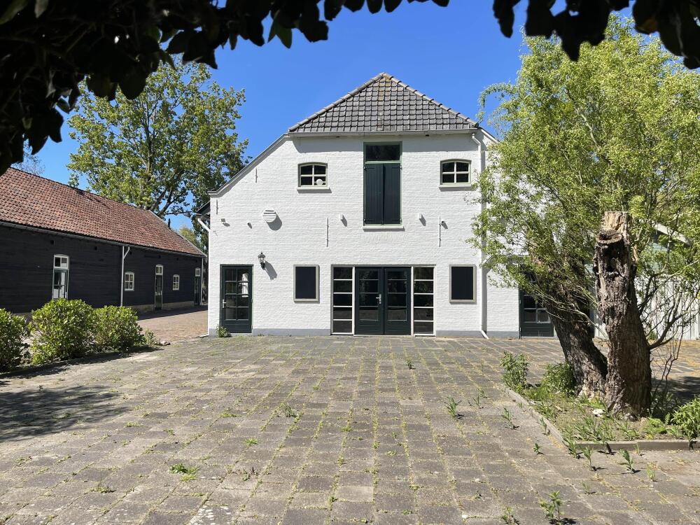 Foto 44 1000w