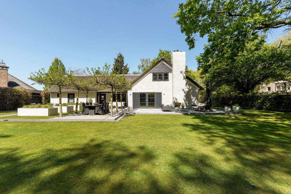 Foto 4 1000w
