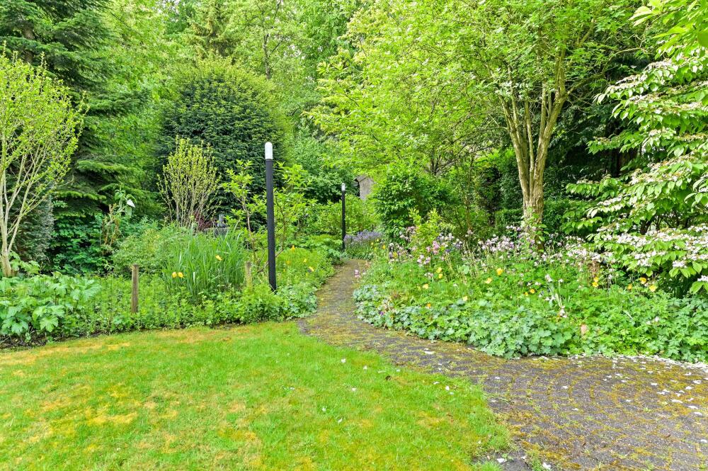 Foto 30 1000w
