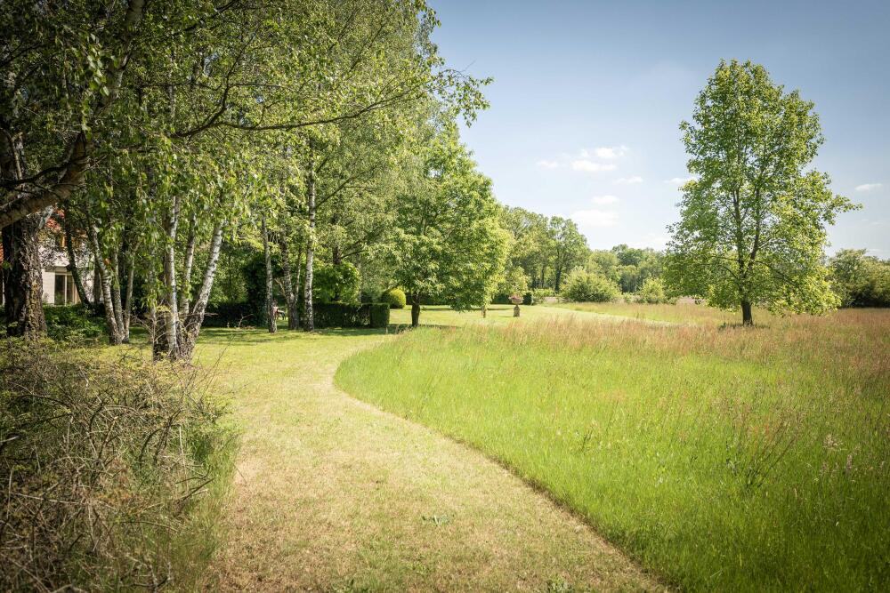 Foto 22 1000w