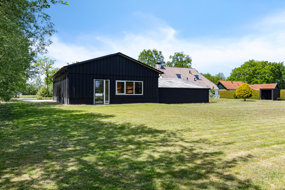 Foto 4 1000w