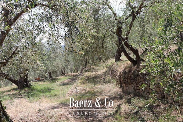 photo 43 Country house for sale 480 m²