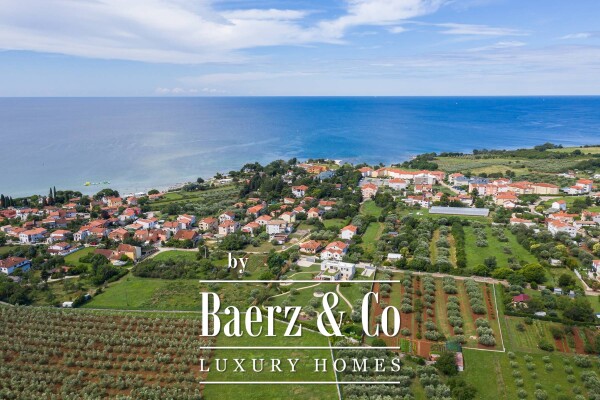 photo 86 Croatia, Istria, Umag: Stunning Villa with pool surrounded by olive groves