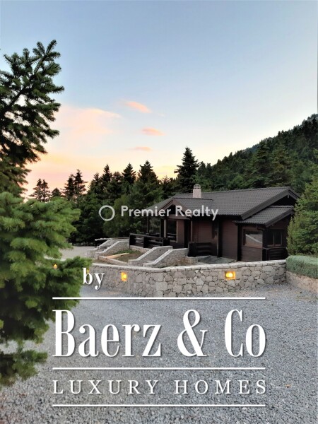 photo 2 950495 - Chalet | Eptalofos, Parnassos, 480 sq.m.