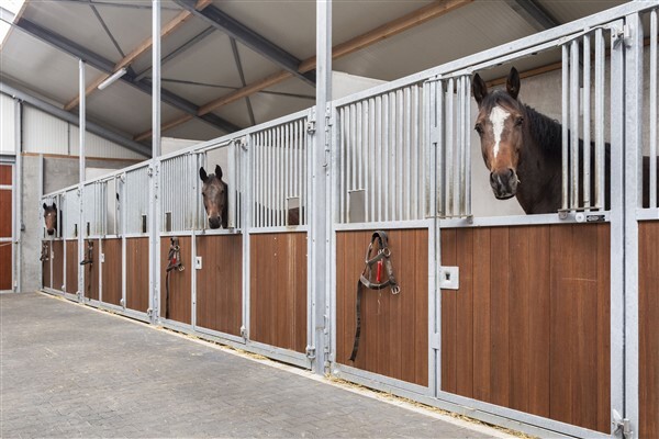 photo 20 Molenstraat 124