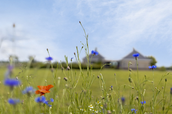 photo 30 Diepenheimseweg 25 a