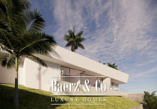 photo 2 Amazing villa in the making