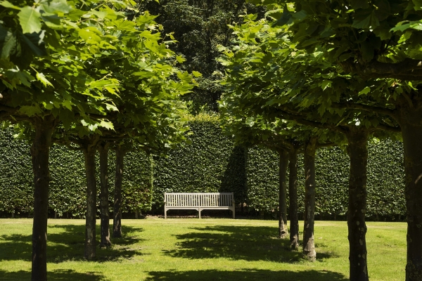 photo 43 De Zonneroos – luxe, privacy en eindeloos genieten.