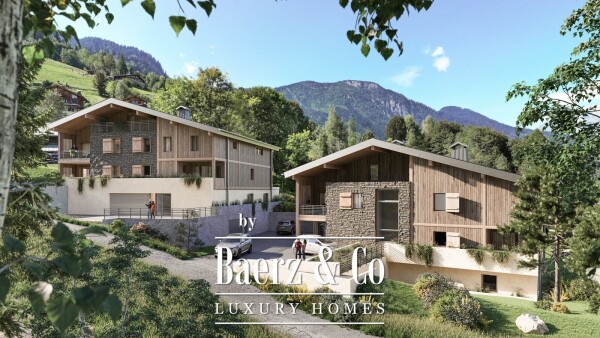 photo 3 2 Bedroom Apartment- New program