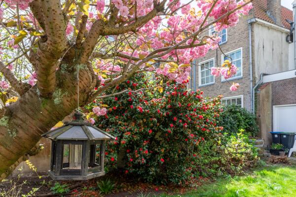 photo 37 Oude Delft 32