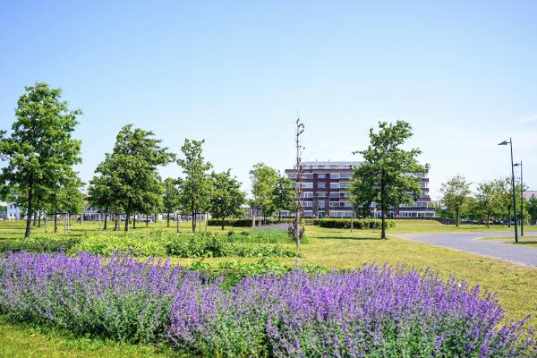 photo 43 Nederhoflaan 12