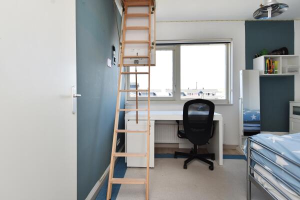 photo 55 Juttepeer 35