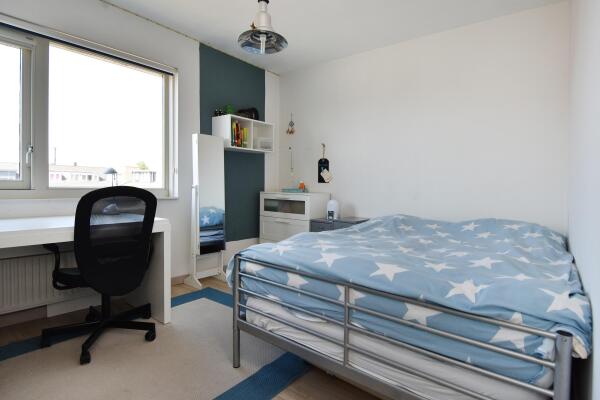 photo 57 Juttepeer 35