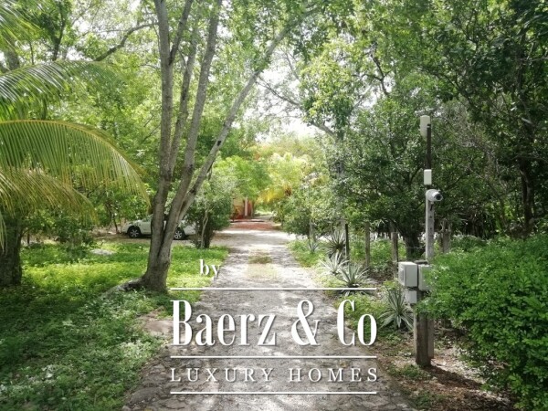 Video Street 18 x 33 Izamal 