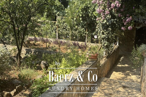 photo 13 Hvar, Jelsa, residential and commercial complex ideal for investment