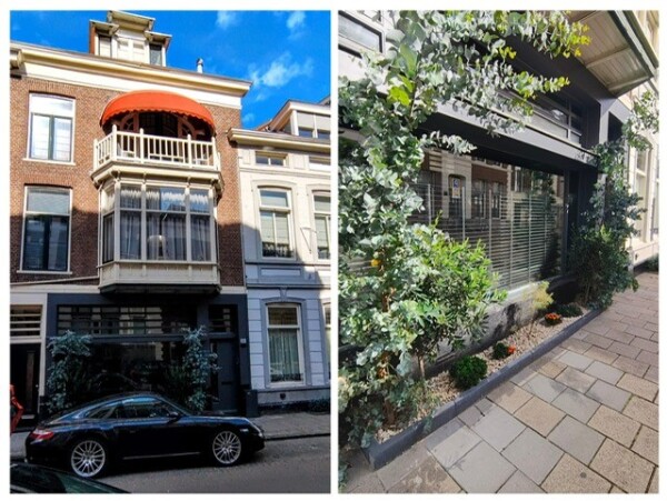 photo 1 Anna Paulownastraat 21