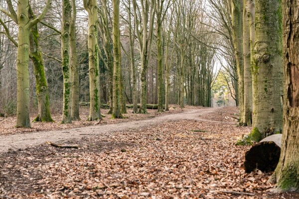 photo 40 Zuylenburg 3