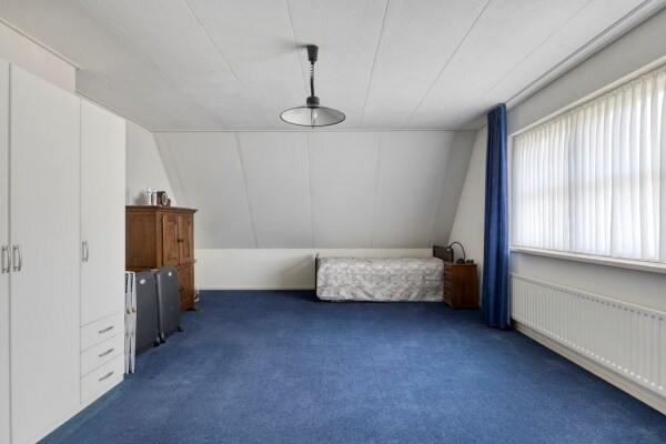 photo 38 Bilzekruid 11