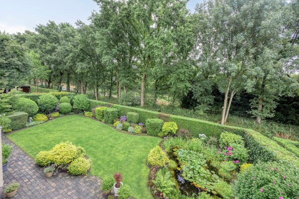 photo 52 Bilzekruid 11