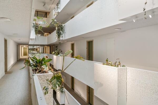 photo 25 Sausalitolaan 106