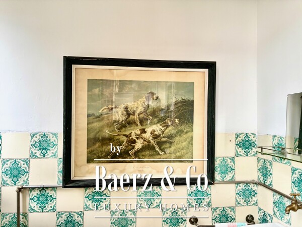 photo 13 Building for restoration - Centre of Porto