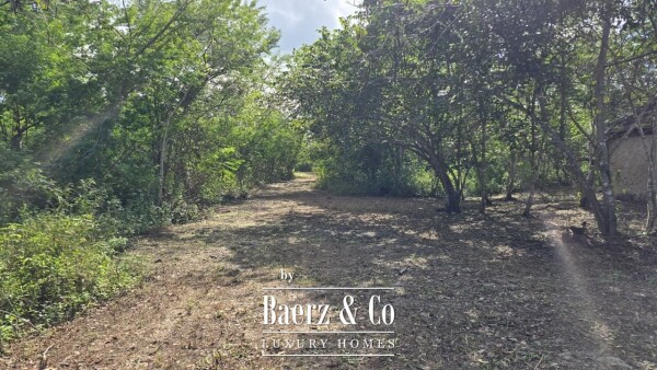 photo 17 Sagrado - Valladolid 