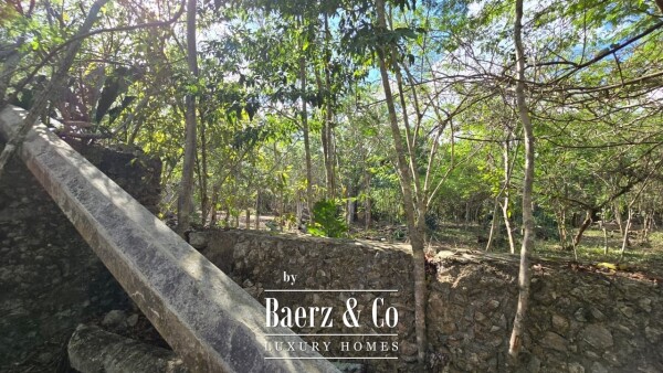 photo 28 Sagrado - Valladolid 