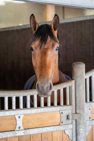 photo 31 Kapelstraat 12 14