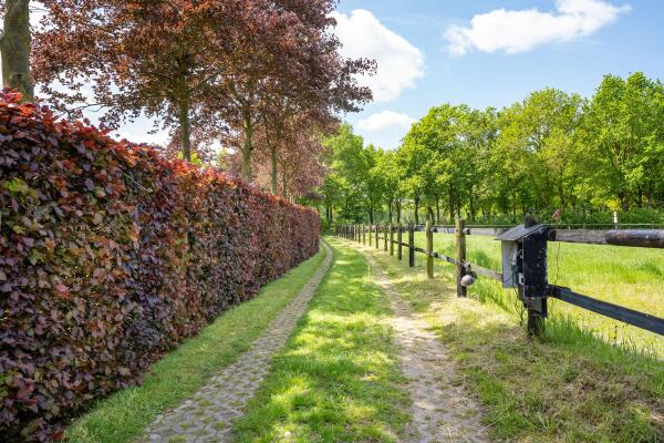 photo 54 Kapelstraat 12 14