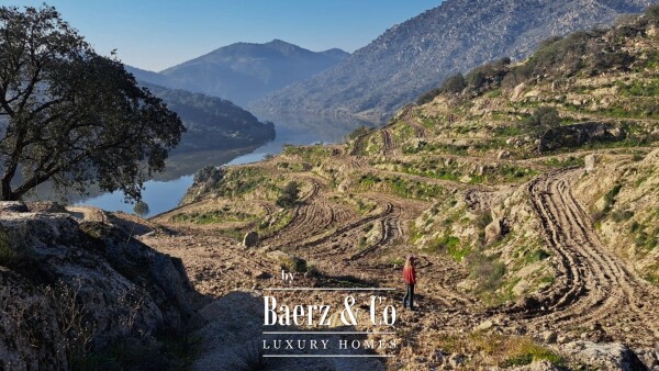 photo 16 Douro Riverfront Almond Estate