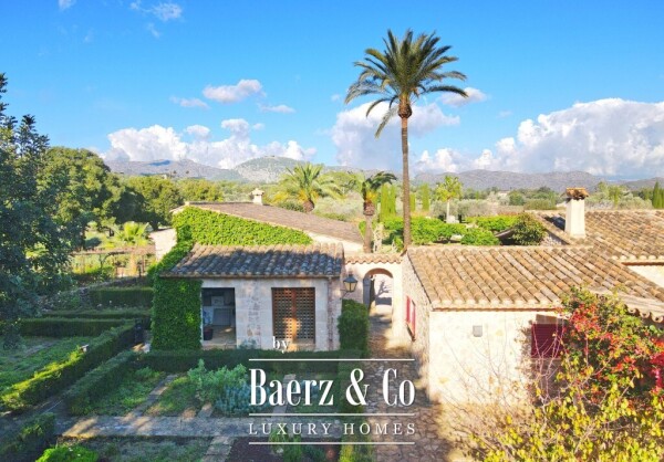 photo 7 Exclusive Wine Estate with Bodega, Olive Grove and 10 Hectares of Private Forest