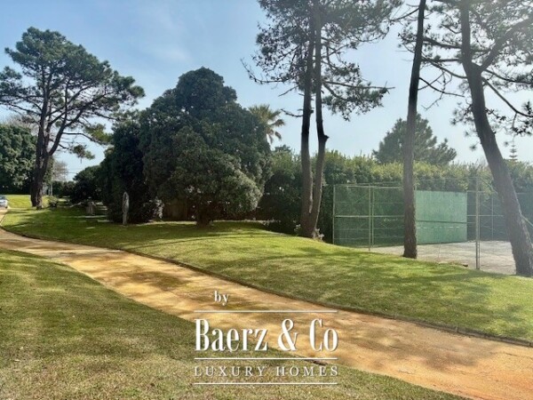 photo 15 Fantastic farmhouse