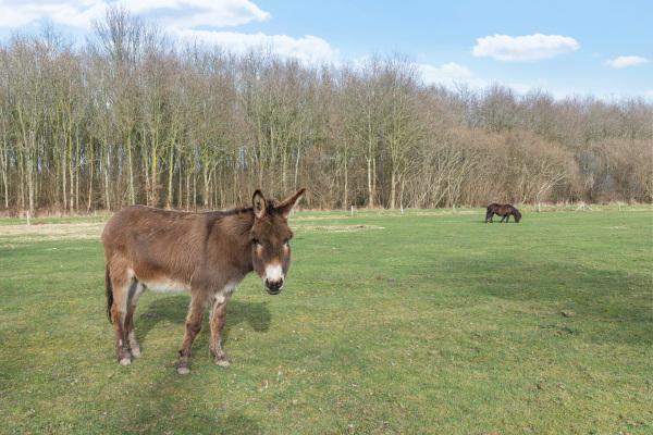 photo 64 Delbuursterweg 25