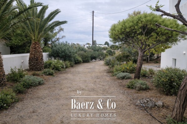 photo 14 Naxos Seaside Villa