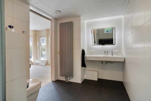 photo 33 Zilvermos 2