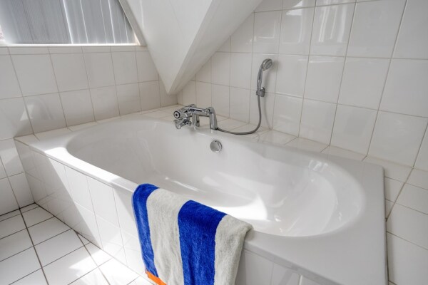 photo 47 Zilvermos 2