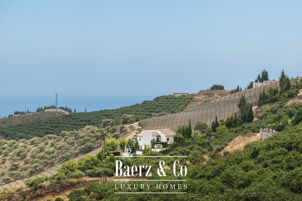 photo 32 Authentic Andalusian Country Estate with Sea and Mountain Views in Frigiliana