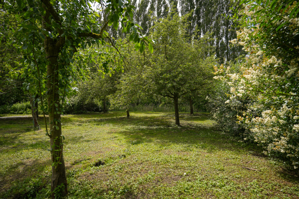 photo 76 Dorpsstraat 18