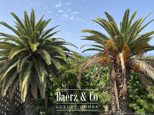 photo 48 Magnificent estate featuring family home and an organic banana plantation